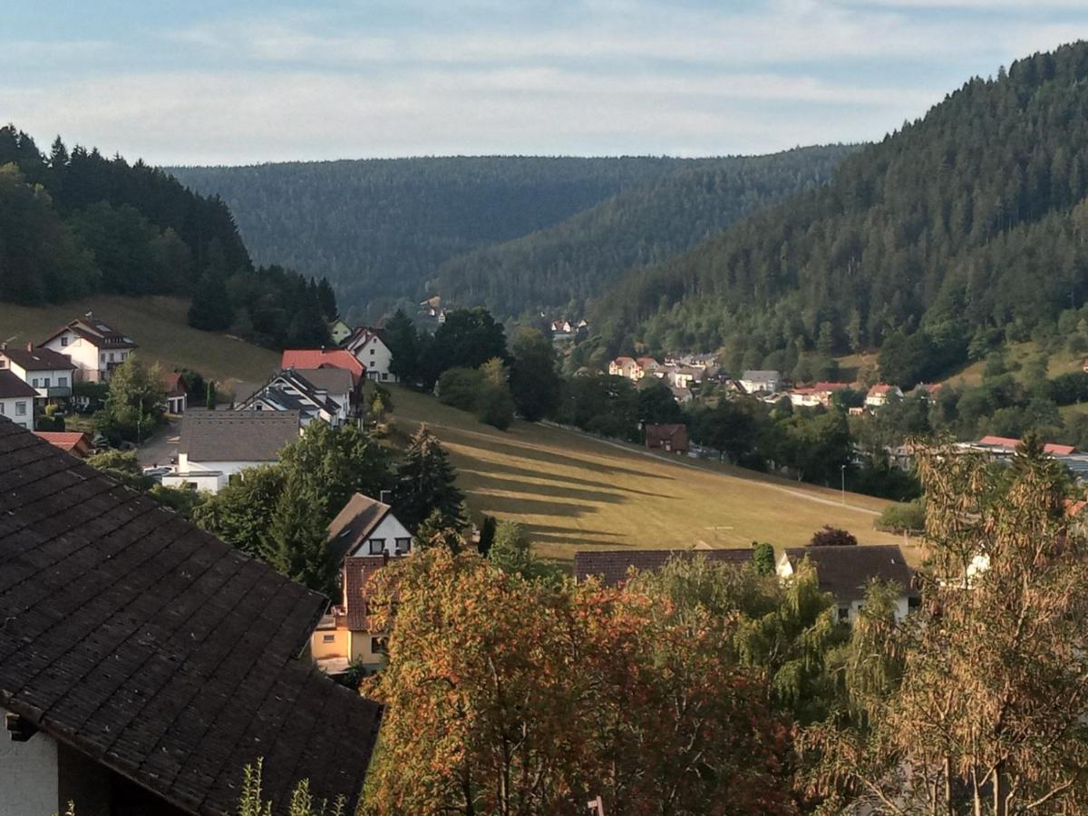 Waldblick Apartamento Baiersbronn Exterior foto
